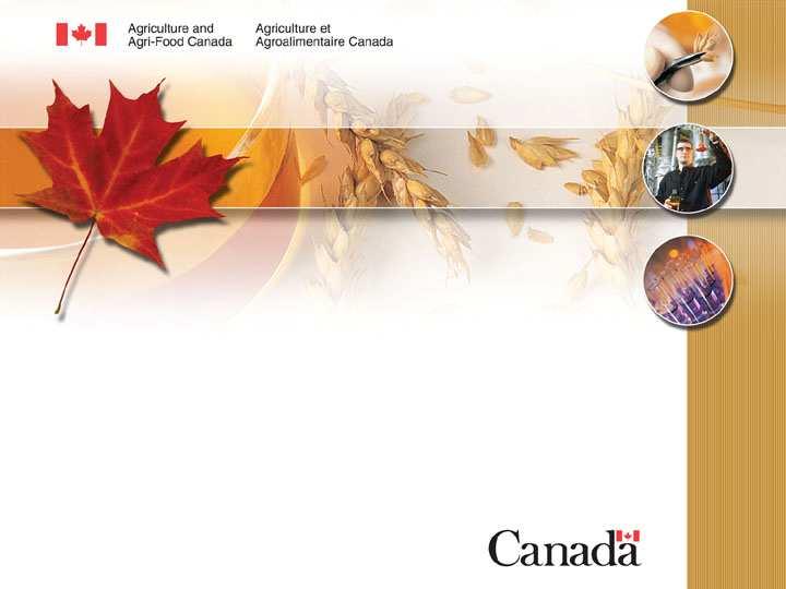 Canadian Biodiesel Standards and Activities APEC Biodiesel Workshop By: Mark Stumborg,