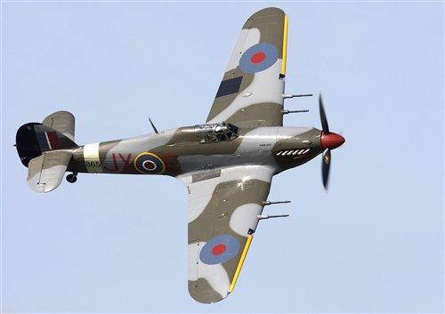 RAF Hurricane - lion s