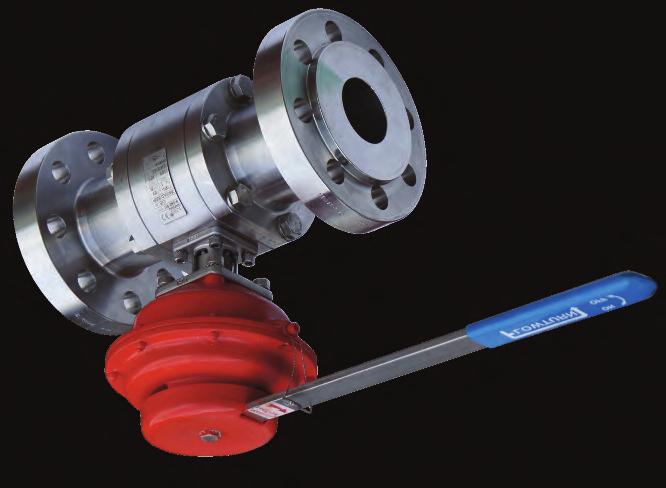Valves on the deluge system can be activated to fail-open when heat is sensed, immediately flooding the area with water. Our fusible link assembly provides the ideal fire protection solution.
