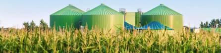 Biomass Conversion to Biofuels Renewable?
