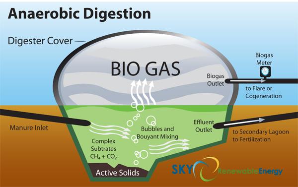 Natural gas is not the only source of methane. There is also Bio-Gas Natural gas is not the only source of methane.