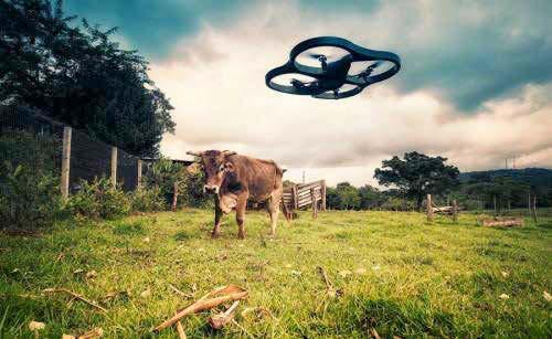 Drone: on the farm Monitor fields Identify