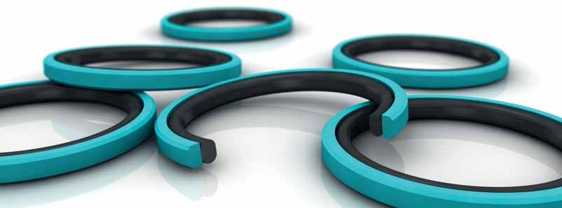 Turcon Glyd Ring Double Acting Rubber Energized