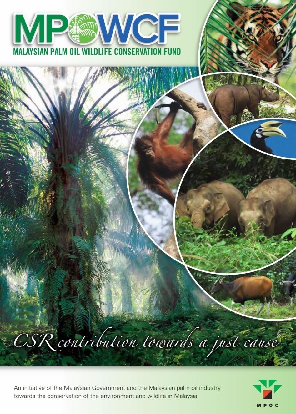 CONSERVATION EFFORTS OF MALAYSIAN PALM OIL INDUSTRY Malaysian Palm Oil Wildlife Conservation Fund (MPOWCF) Ø Launched in 2006 Ø RM 20,000,000:- RM 10m from
