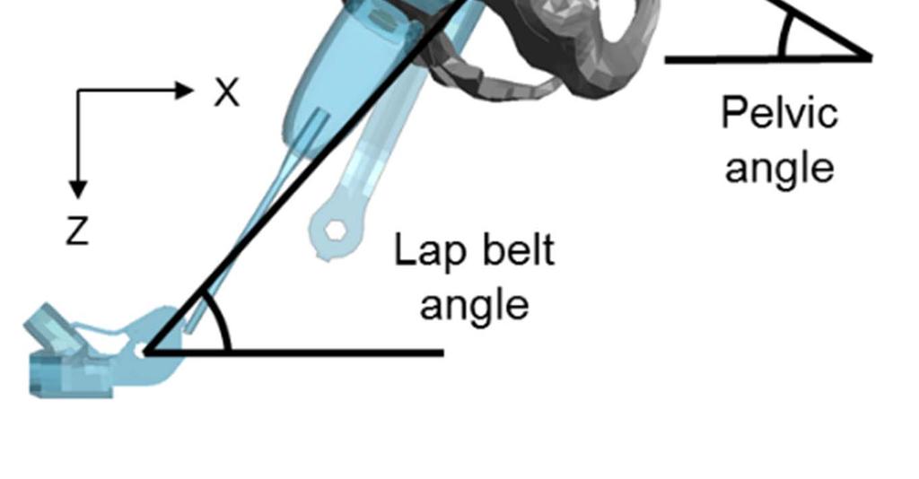 PMHS Test, Model Lap belt to ASIS dx (mm) Lap belt to ASIS dz (mm) Lap belt outboard angle (deg) Lap belt inboard angle (deg) Pelvic angle (deg) 299 66 89 54 55 46 354 108