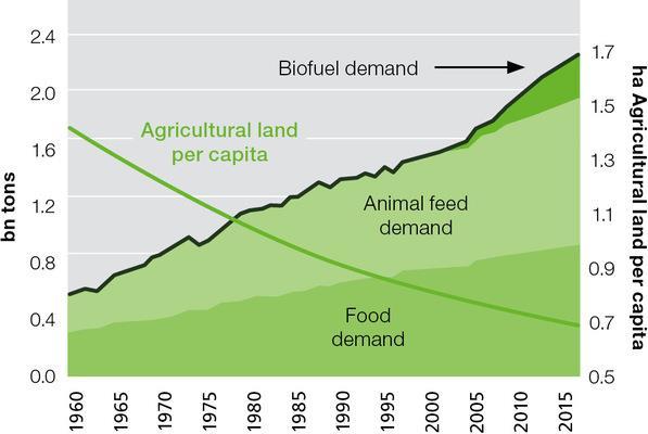 Palm oil in the world Land input Increased demand for meat/fat/processed foods Increased demand