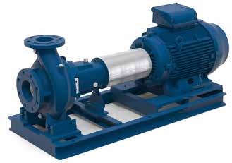 Design details This single-stage, back pull-out, horizontal centrifugal pump is designed according to the EN733 standard for dimensions and power ratings, as well as the ISO 5199 standard for