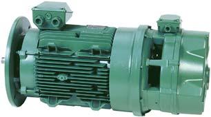 General information GENERL USE : U.G. Enclosed three-phase asynchronous brake motor, series LS with failsafe alternating current (ac) brake, according to IEC 60034,60072, EN50281.