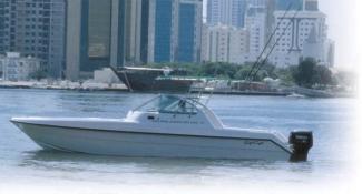 Dolphin Super Deluxe 31 Open Day Cruiser SPECIFICATION SHEET (V20030901) Basic Dimensions Length : 31 (9.45 m) Beam : 9 10 (2.78 m) Draft : 1 7 (0.51 m) Weight : 5300 lbs approx.