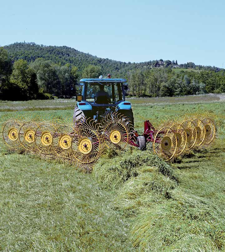 H90 Trailed Hayrake Pictured: H90-V10 APPLICATION: CONSTRUCTION: Suitable for raking, turning and spreading hay crops and grain crop stubble. Simple robust construction requiring minimal maintenance.