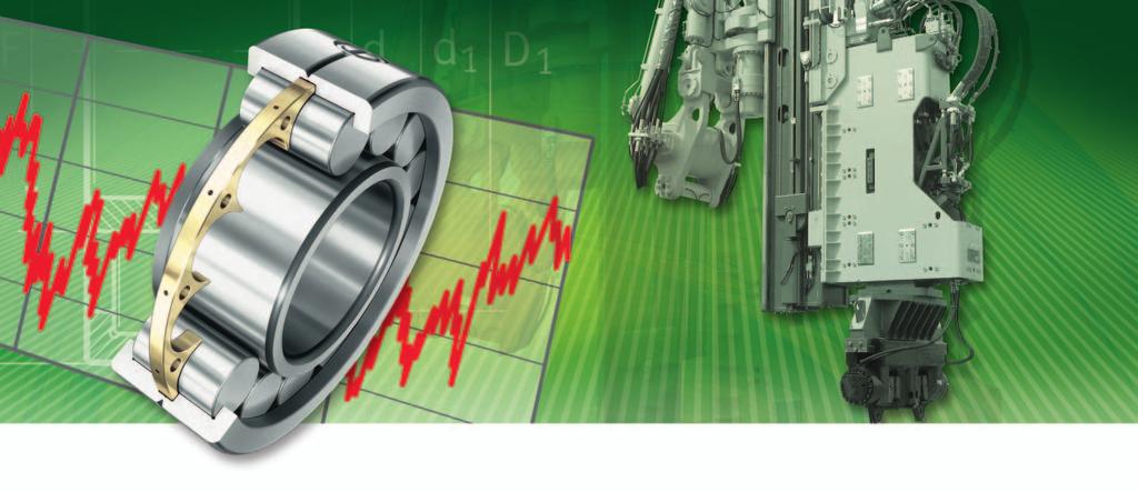 Cylindrical and Needle Roller Bearings for Vibratory