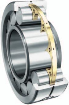Cylindrical and needle roller bearings for vibratory machinery Reliable solutions for extreme requirements Figure 1: Cylindrical roller bearing LSL1923 with disc cage In order to achieve reliable