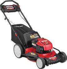 SELF-PROPELLED MOWERS You need it, we have it fast & free delivery to our store 6 21" SELF-PROPELLED MOWER 163cc, OHV Briggs & Stratton 725EXi series engine RWD/variable speed, self-propelled 21"