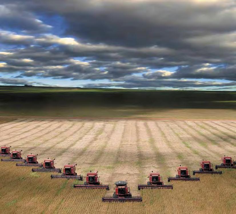 YOUR LOCAL CASE IH DEALER More Power.
