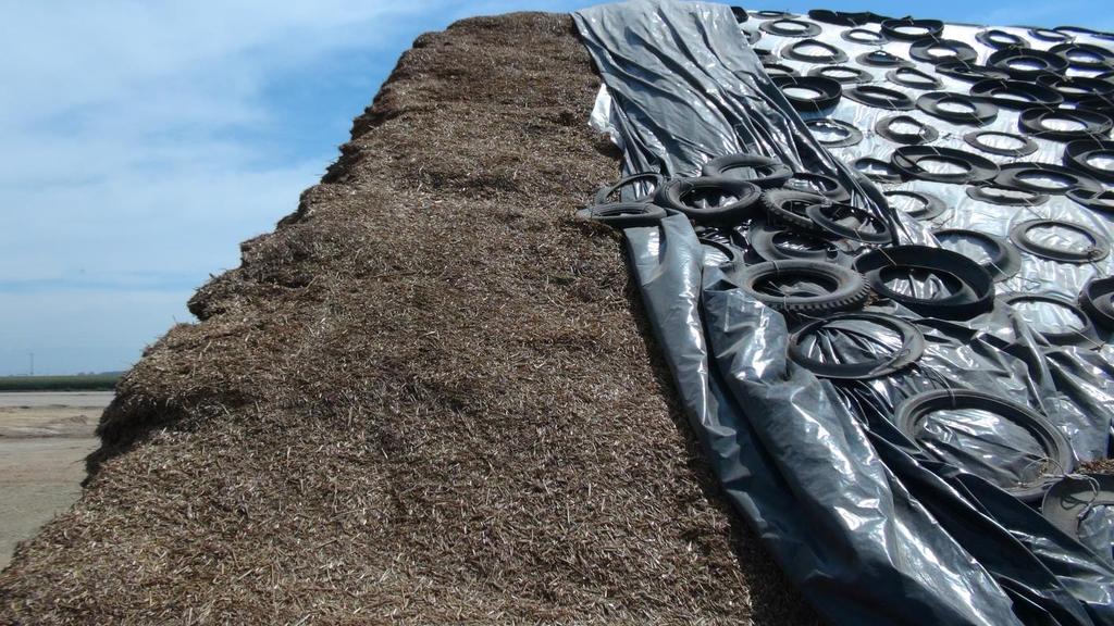 Covering Silage Structure Double plastic layer was used by 70.9% of the dairies.