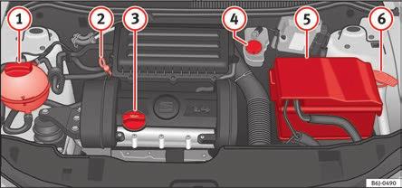 Advice Checking fluid levels Fig. 151 Diagram for the location of the various elements. Fig. 152 For vehicles with the battery in the luggage compartment.