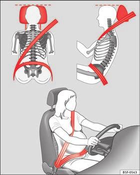 Safety Fig. 55 Position of seat belt during pregnancy. Fasten your seat belt The seat belt cannot offer its full protection if the seat belt is not positioned correctly.