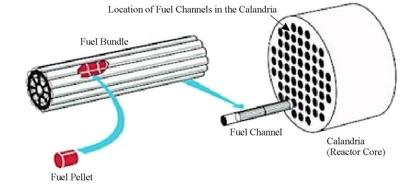 Figure 3. Placement of the Fuel Channels and Fuel Bundles in the Reactor Core A schematic of a CANFLEX 43-element fuel bundle is shown in Figure 4 [1].