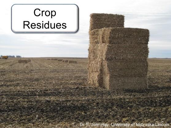 Slide 13 Corn stover is the material that is left of the field after a corn harvest. It is the largest untapped resource in the U.S. but other crops residues could contribute, like sugarcane bagasse and hay from seed production.