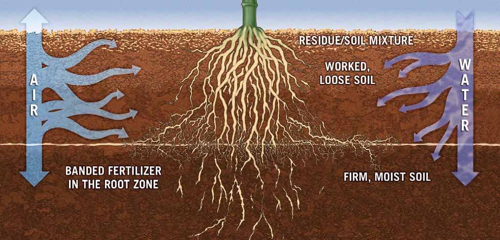 FERTILIZER IS A SUBSTANTIAL INVESTMENT. MAKE IT COUNT. Maximize your nutrient uptake, minimize runoff and increase the return on your fertilizer investment.