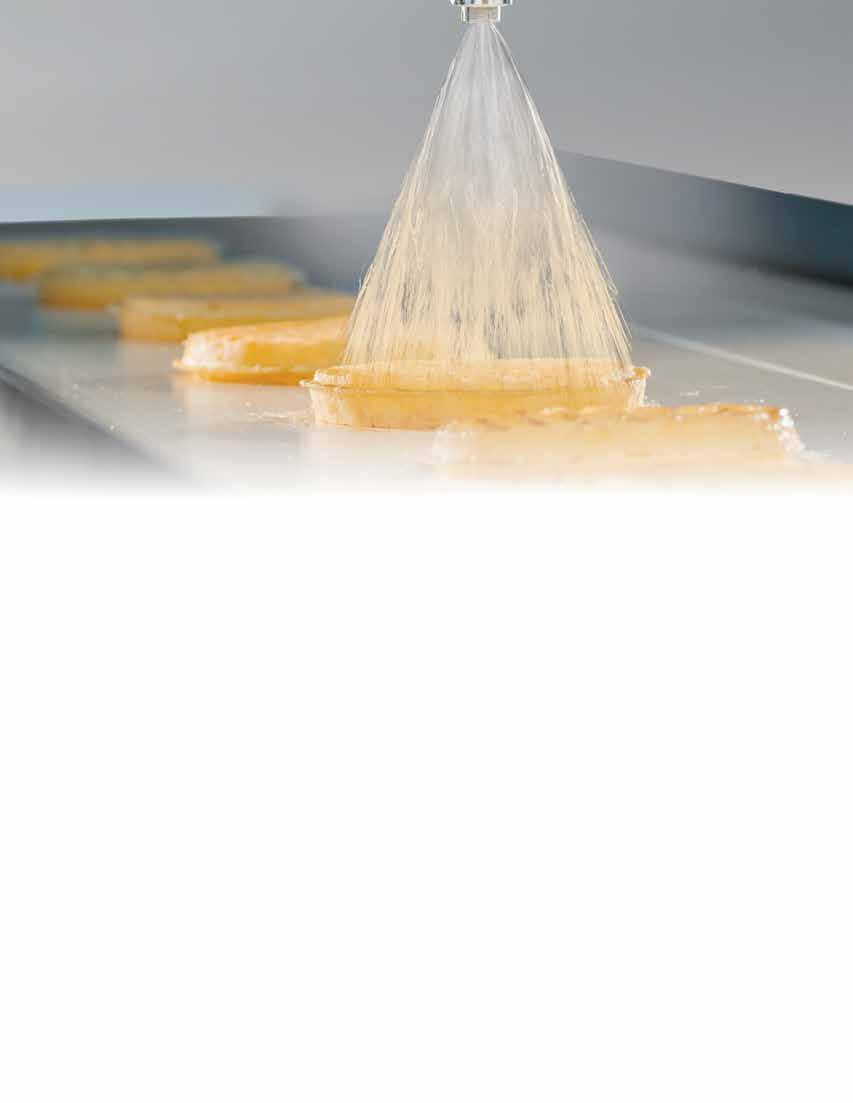 TABLE OF CONTENTS page ACCUCOAT SPRAY SYSTEMS: Benchtop Systems For R&D 4 In-line Systems For Light Oils And Syrup 5 Fully-Jacketed Systems For Butter, Chocolate And Heavy Syrup 6 Panning Systems For