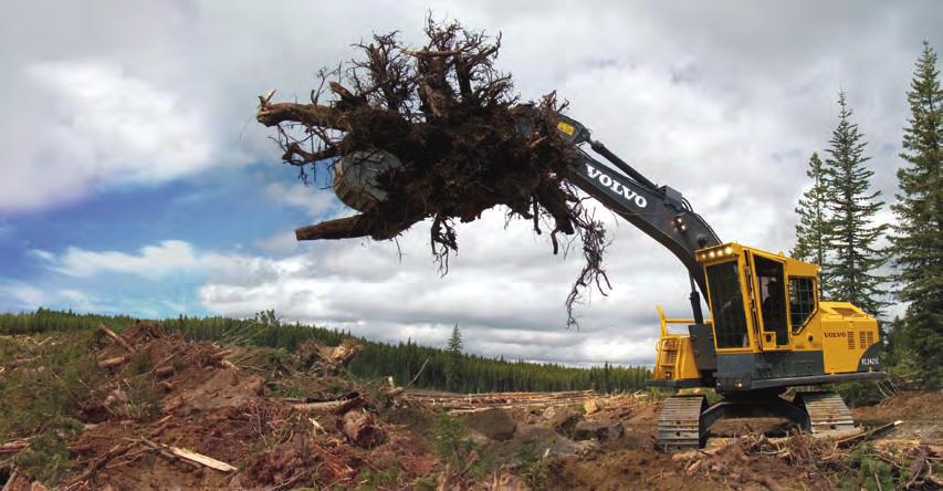 Forestry Solutions Road Building/Stumping/Silviculture Stumped? Not When You Own a Volvo.