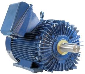 10:1 CT) VERTICAL HOLLOW SHAFT PUMP MOTORS 10 HP 500 HP; 4-Pole Extra High Thrust / Double Stacked Bearings Available