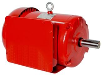 Design C Totally Enclosed Fan Cooled Inverter Duty (20:1 VT; 10:1 CT) (1 HP 300 HP) Inverter Rated (10:1 VT; 5:1 CT)
