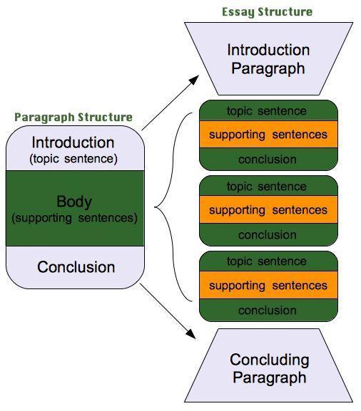 Macro organisational problems can mean the paragraphs don t function as they should The typical fiveparagraph essay Image source: http://scholarshape.