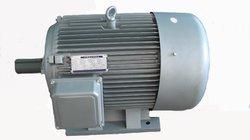 ELECTRIC MOTOR Three Phase Electric Single