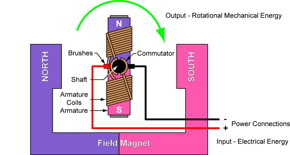o Brushed DC Electric Motor Parts: Permanent magnets: Two magnets that remain magnetized after the electricity is turned off. Armature coils: Coil windings where the magnetic polarity changes.