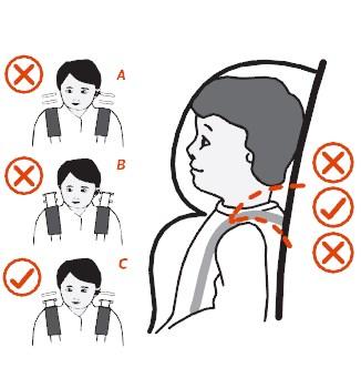 do not use the child restraint with the harness if