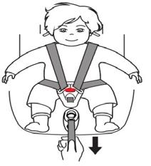 1.Pull the harness straps up to remove the slack from the lap section of the harness, then pull the harness regulating strap until the harness is fully stretched. 2.