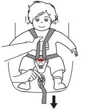 Make sure the lap section of the harness is positioned as low as possible, surrounding your child s hips and not his stomach. 4.A harness that is not properly tightened can be dangerous.