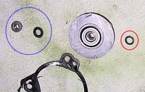 The BLUE circle in the picture above is showing the nut and washer found on the outside of the impeller.