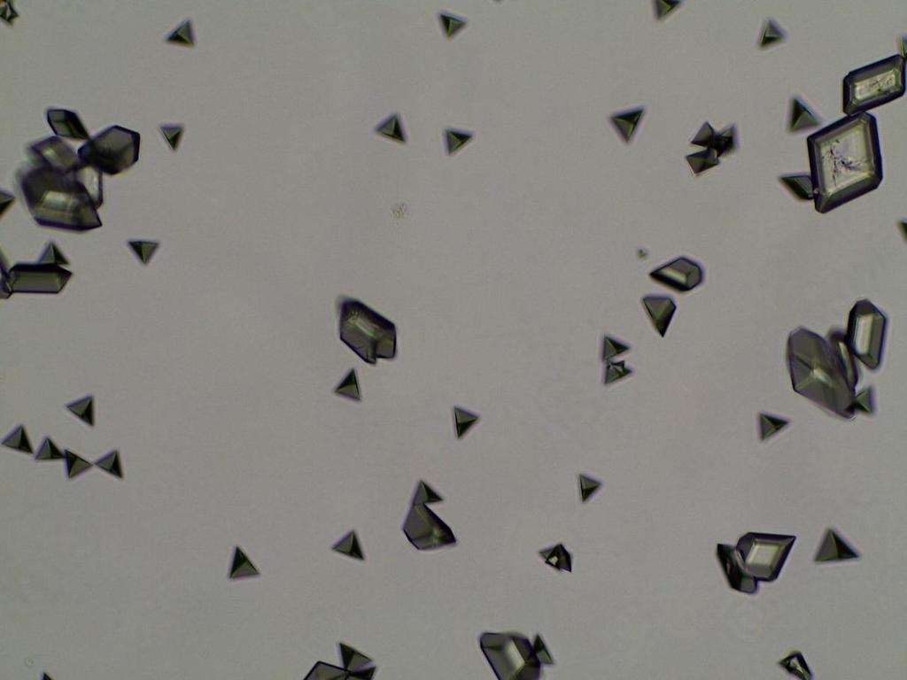 MesoOBR: Crystallization New Crystal Form of