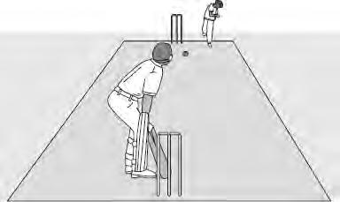 Q5. The picture shows players in a cricket match. (a) A fast bowler bowls the ball at 35 m/s. The ball has a mass of 0.16 kg.