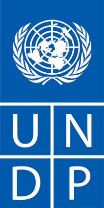 SUDAN REQUEST FOR QUOTATION (RFQ) FOR PROCUREMENT OF FORKLIFT FOR CENTERAL WAREHOUSE -UNDP GLOBAL FUND Date: August 8 th 2010 REFERENCE:RFQ/KRT/GF/10/048 Dear Sir / Madam: You are kindly requested to
