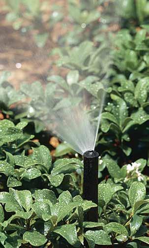 NP SPRAYS Applicatio: Residetial / Light Commercial NP Sprays are ideal for waterig smaller areas, groud cover ad shrub areas. NP pop-up sprays are built with the cotractor i mid.