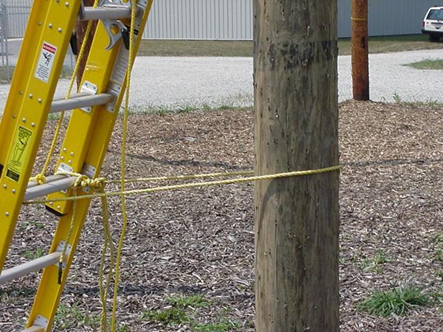 Step 2: Wrap the rope around the pole.