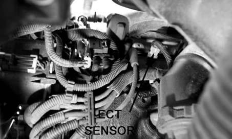 Engine Coolant (ECT) Sensor Intake Air Temp (IAT) Sensor REAR HARNESS CONNECTIONS 39.