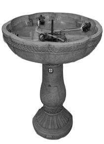 Fill Your Fountain After you have assembled the water pump