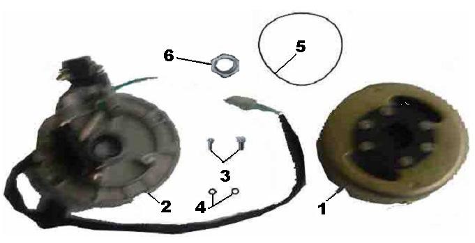 FLYWHEEL AND STATOR Part UPC Number Description Baja Description Qty. 1 DX-348 883099103926 FLYWHEEL 1 2 DX-349 883099103933 STATOR 1 3 DX-350 883099103940 BOLT M6-1.