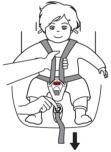 7 The adjustment of harness straps and head rest Tightening the harness Pull the shoulder straps upwards to remove the slack from the lap sections of the harness then pull the adjuster strap until