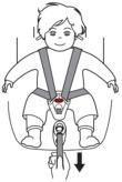 Check the harness adjuster and tighten each time the child is placed in the seat.