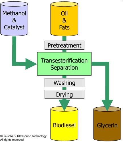 Trad biodiesel = FAME