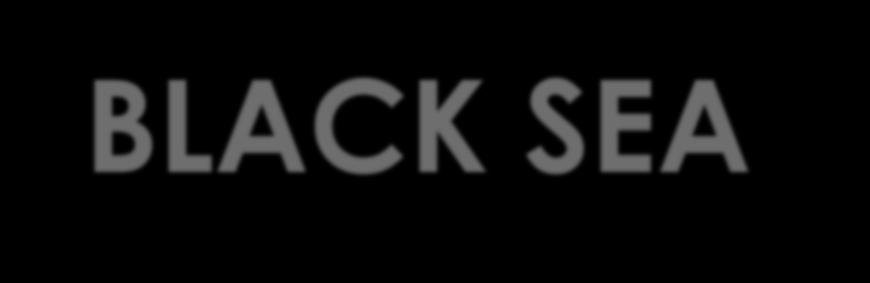 BLACK SEA SUNSEED MARKETS &