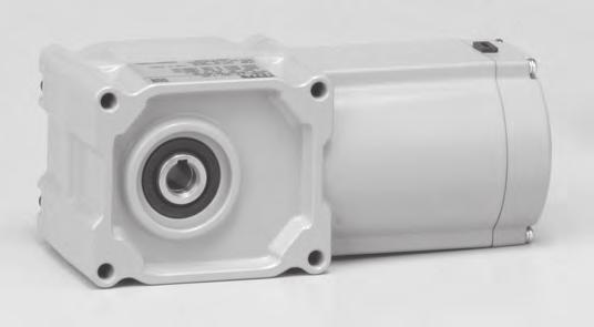 PRODUCT INFORMATION GEARMOTOR DIVISION Brother Gearmotors is one of the world s largest fine-pitch gear manufacturers and