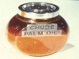 Crude Palm Oil ( CPO ) CPO Methyl