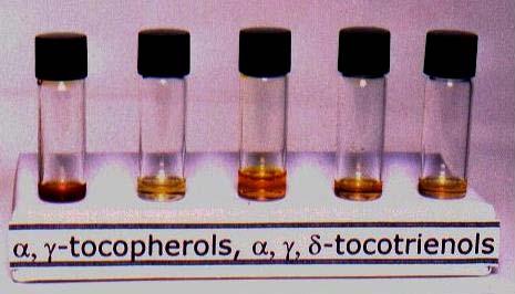 Production of Individual Carotene, Tocols &